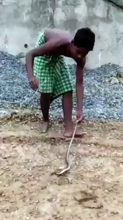 Fearless Village Boy Catches a Snake with Bare Hands! 🐍💪