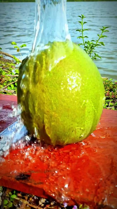 "🌟 Unlock Stunning Grapefruit Cutting Skills: Master the Art of Beautiful Results! 🍊"