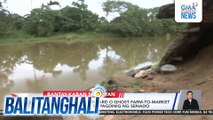 Overpriced, substandard o ghost farm-to-market roads, nadiskubre sa pagdinig ng Senado | Balitanghali