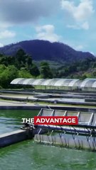 Interviewed: Datuk Dr. Lim Siow Jin | Part 18