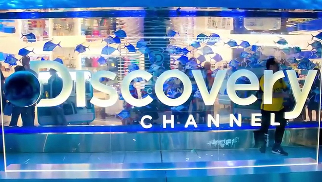 Discovery - Bigger Than You Know