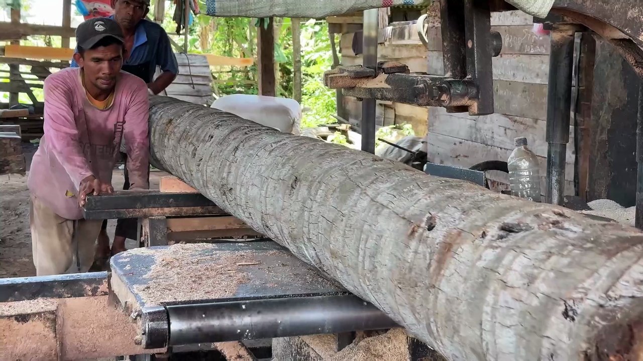 Calculating the Need for 5x7 Coconut Wood for Construction with a Sawmill Machine