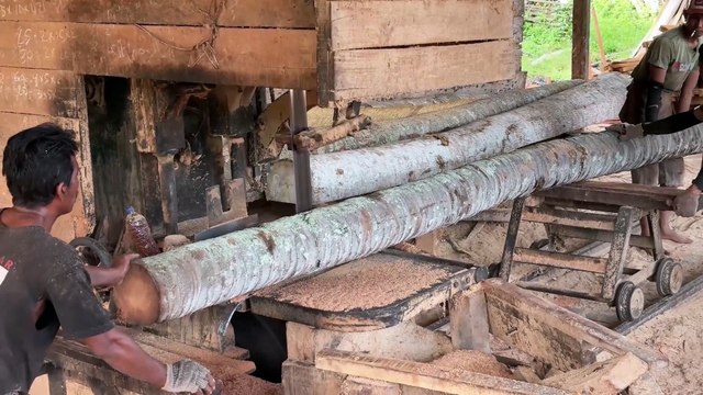 Increasing Productivity with a Sawmill Machine in Processing Coconut Wood
