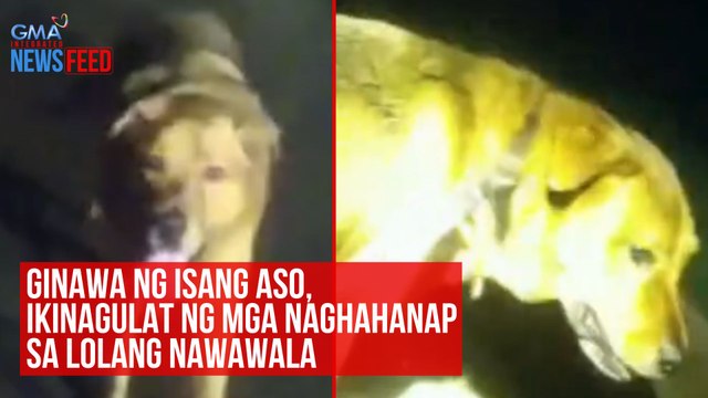 Ginawa ng isang aso, ikinagulat ng mga naghahanap sa lolang nawawala | GMA Integrated Newsfeed