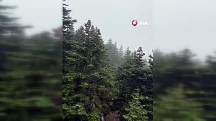 Kış turizminin cennetine ilk kar taneleri düştü...