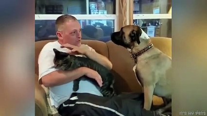 Funniest cats and dogs video 🐕😹 2025 try not to laugh challenge 😜