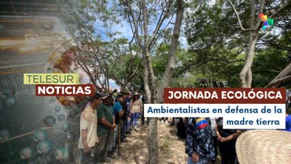 Ambientalistas realizaron Jornada Nacional de Reforestación