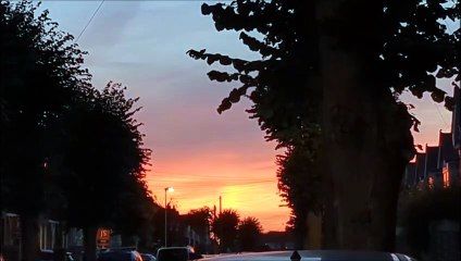 The Worthing sunset that had people stopping in their tracks - and just listen to what the birds had to say!