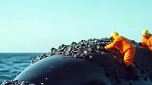 Whale cleaning moment!