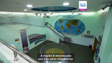 Descubra a Reserva Natural de Korgalzhyn, no Cazaquistão, um paraíso para milhares de flamingos