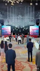 Golden Swallow Returns - Gratitude Shortmintz