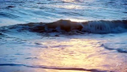 Home and Away 8598 9th October 2025