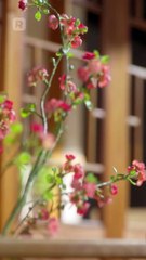 A Couple Who Got Married First