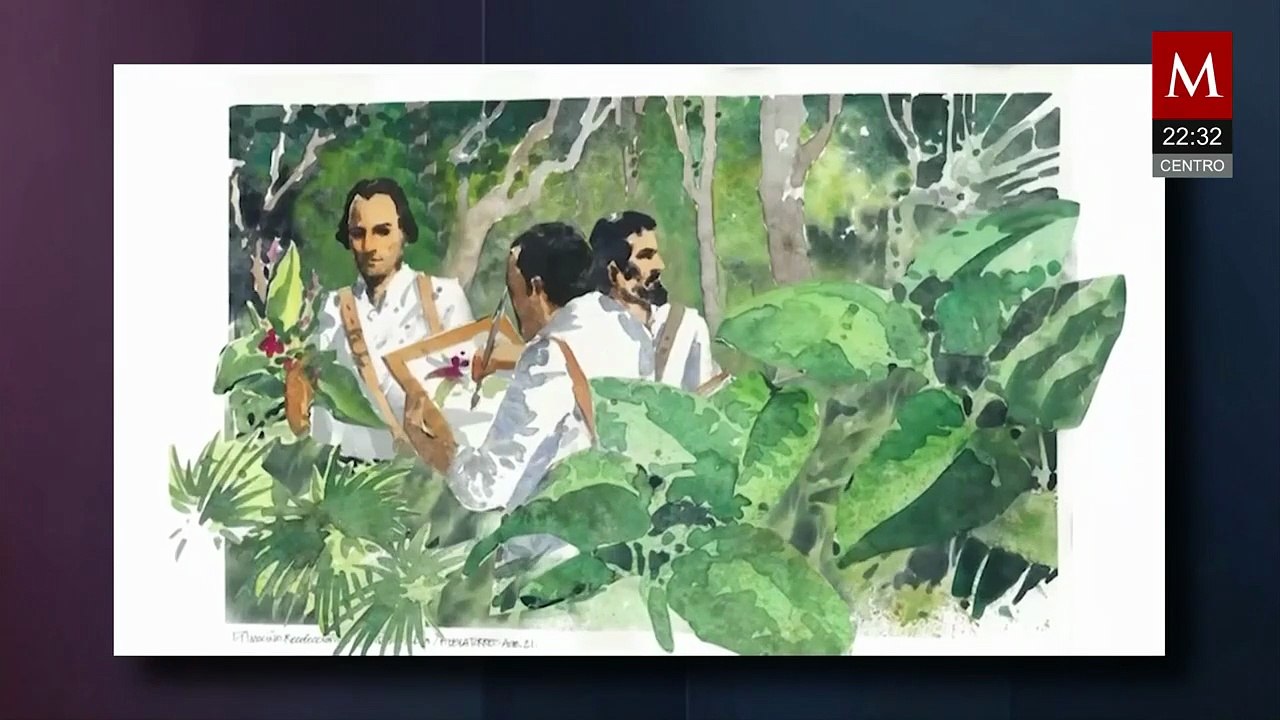 UNAM alerta sobre 1.200 especies de árboles en peligro de extinción