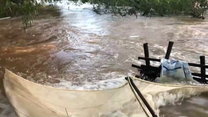 Bắt Cá Ở Suối Nước Lũ !