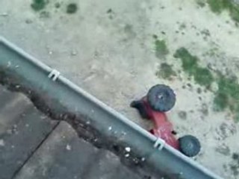 Trakteur