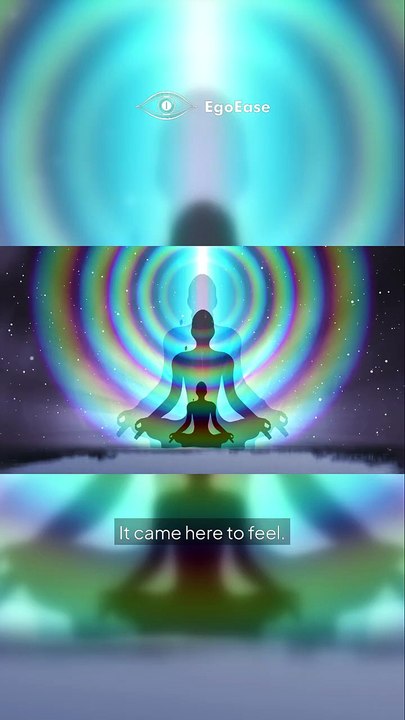 You Didn’t Come Here by Accident | The Purpose of Your Soul