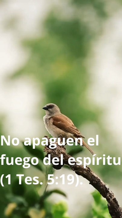 No perder el Espíritu..