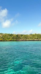L'ÎLE AUX AIGRETTES préservée