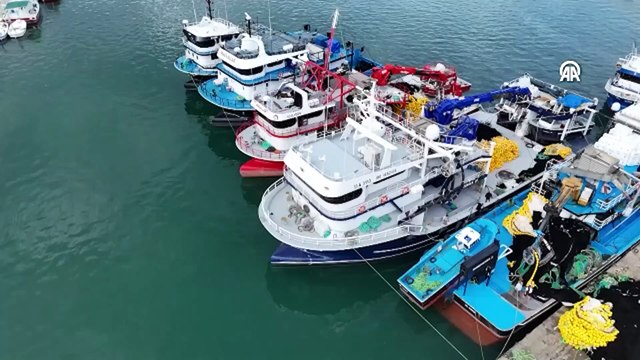 Sabahın ilk ışıklarında denize açılan balıkçılar bir gecede milyoner oldu