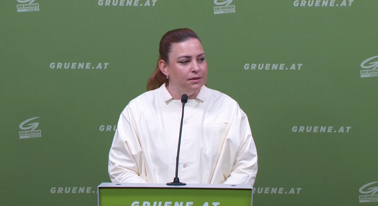 Causa Signa: Grüne werfen Regierung Untätigkeit bei Betrugsbekämpfung vor