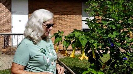 Linda helps with my Gimbal Training