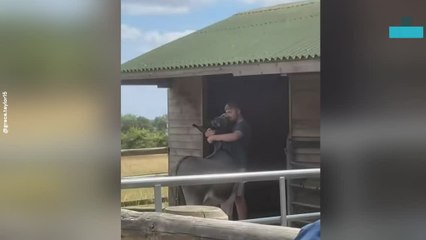 Man Chooses Donkey Cuddles Over Farm Chores