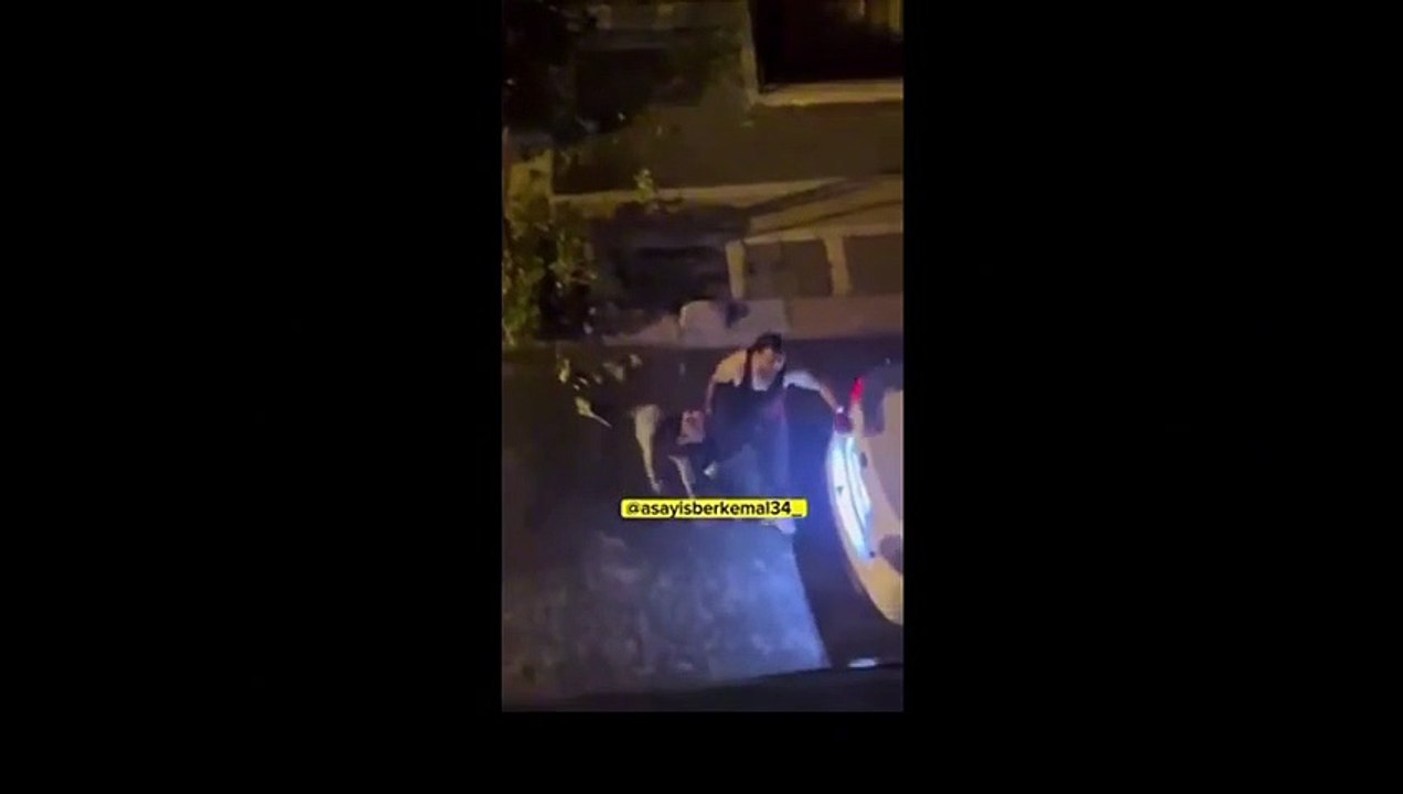 Yardım çığlıkları attı, kimse elinden alamadı... İstanbul'da korkunç Pitbull saldırısı!