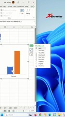 Male Female Ratio Infographics - Excel Tips and Tricks