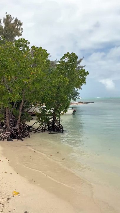 LA PLUS BELLE île aux cerfs