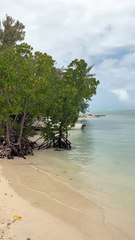 LA PLUS BELLE île aux cerfs