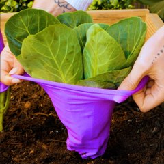 Must-know hacks to grow a healthy garden! 💐