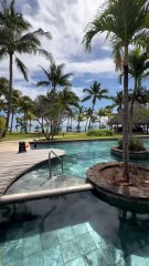 MAGNIFIQUE BALLET de dauphins