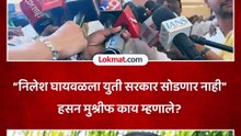 Hasan Mushrif: निलेश घायवळ प्रकरणी युती सरकार करणार कारवाई मुश्रीफांचा विश्वास