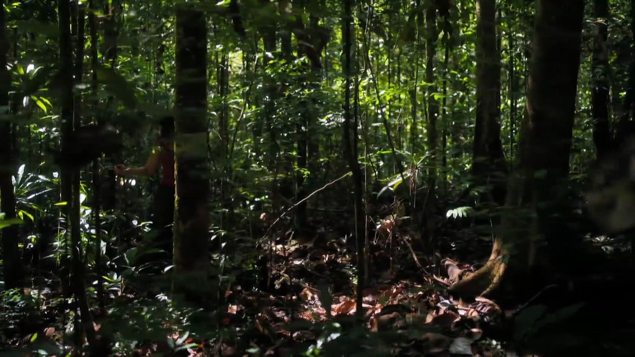 NOVA-S52E13-Human - Journeys