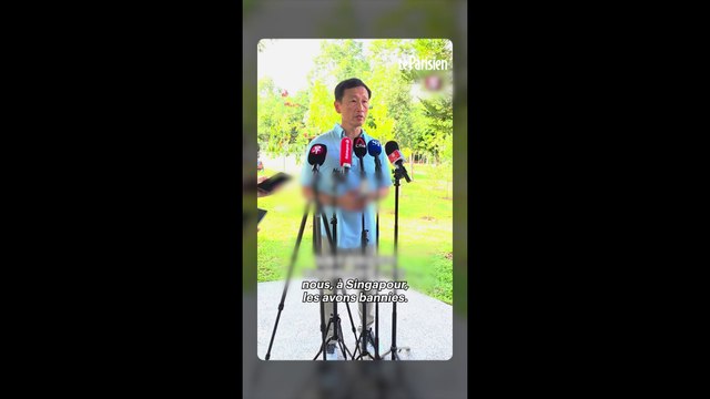 Singapour déclare la guerre aux « cigarettes zombies »