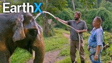 Morning Routine of a BULL ELEPHANT | The Elephant Hospital | EarthX