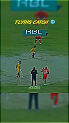 FLYING CATCH ✈️ #cricket #shorts