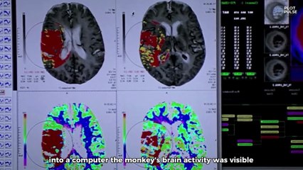 Scientists Upload Human Brain Into a Computer, Unaware It Will Take Over The World _ Transcendence