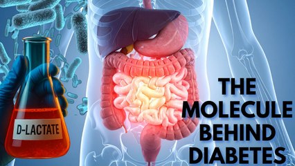 Scientists Trap Gut Molecule to Reverse Diabetes and Liver Disease