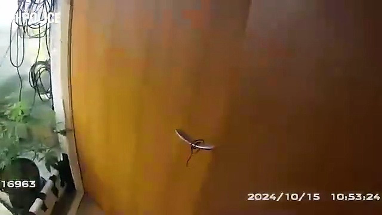 Men jailed following investigation into OCG who supplied cannabis across the UK