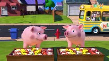 Wheels On The Bus Animals + More Nursery Rhymes & Kids Songs _ NuNu Tv