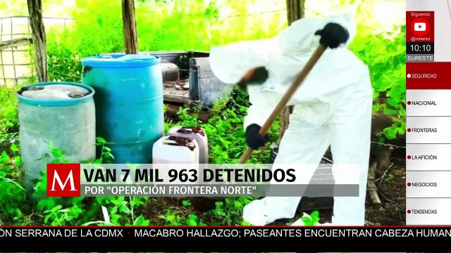 Operación Frontera Norte: aseguramiento histórico de drogas en Sonora