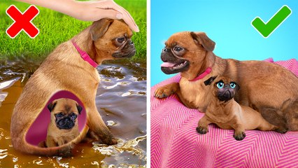 FANTASTIC LIFE HACKS YOU NEED TO KNOW