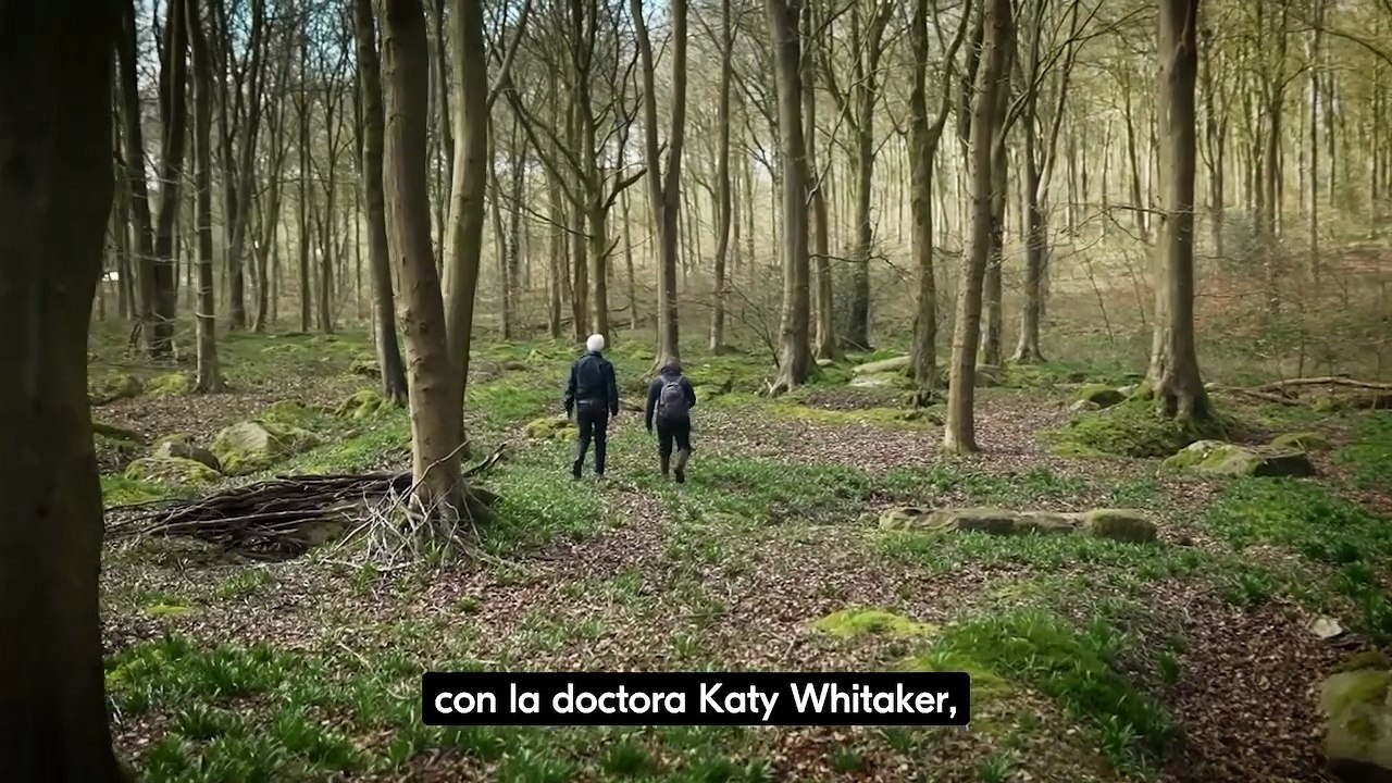 Los Pilares de Stonehenge, el viaje a la prehistoria de Ken Follett   