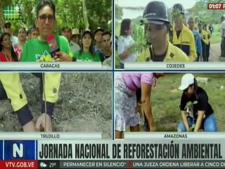 Caracas | Siembra de Caoba, Ceibo, Apamate y Araguaney en jornada de reforestación en Maripérez