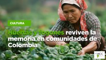 Huertas y fogones reviven la memoria en comunidades de Colombia
