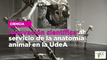 Innovación científica al servicio de la anatomía animal en la UdeA