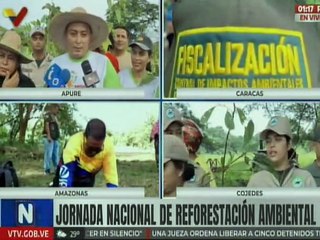 Apure | Más de dos mil plantas sembradas en el Fundo Doña Marta del municipio Biruaca