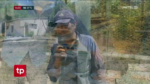 “Es una pérdida muy grande”: 21 cabras lecheras mueren tras el ataque de una jauría